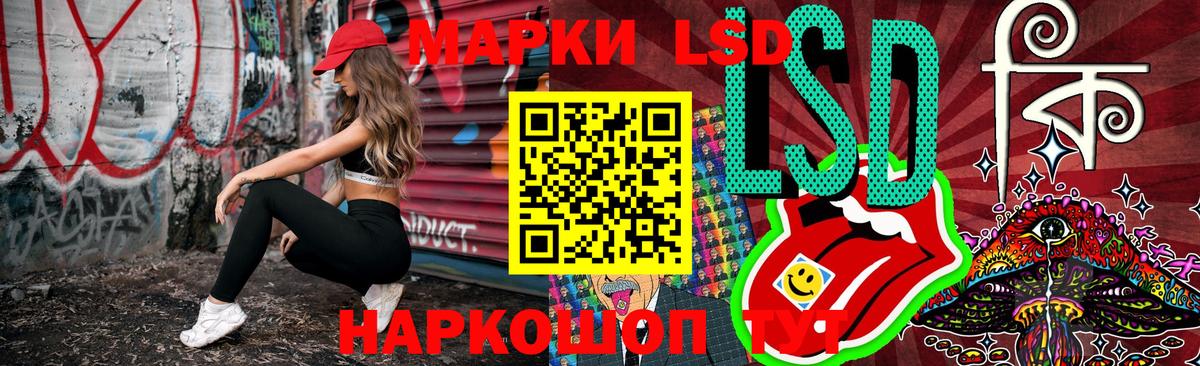 где купить наркоту  Наркотические марки 1500мкг  Наркотические марки  Вход с VPN  Новочеркасск 