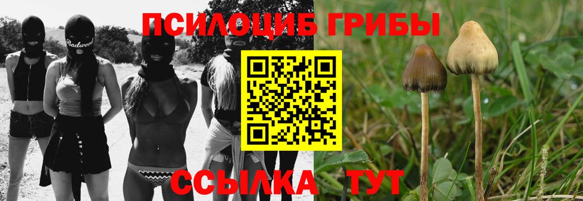 Псилоцибиновые грибы Cubensis  закладки  Вход с VPN  Новочеркасск  Галлюциногенные грибы GOLDEN TEACHER 